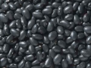 Black Bean