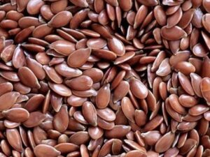 Flax seed