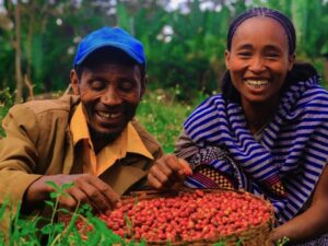 Harrar Coffee: The Bold Spirit of Ethiopian Tradition