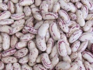 Light Speckled Kidney Bean