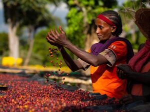 Limu Coffee