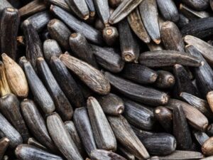 Niger seed