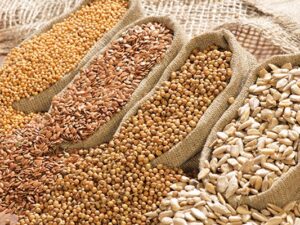 Oil Seeds