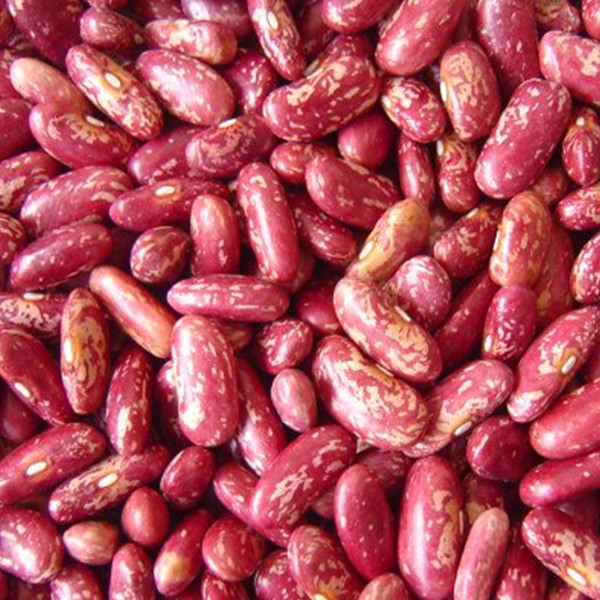 Red Speckled kidney Bean